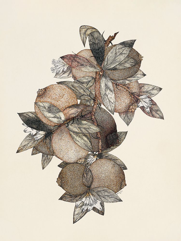 Pomegranate (1867) Rufus King art print by Rufus King for $57.95 CAD