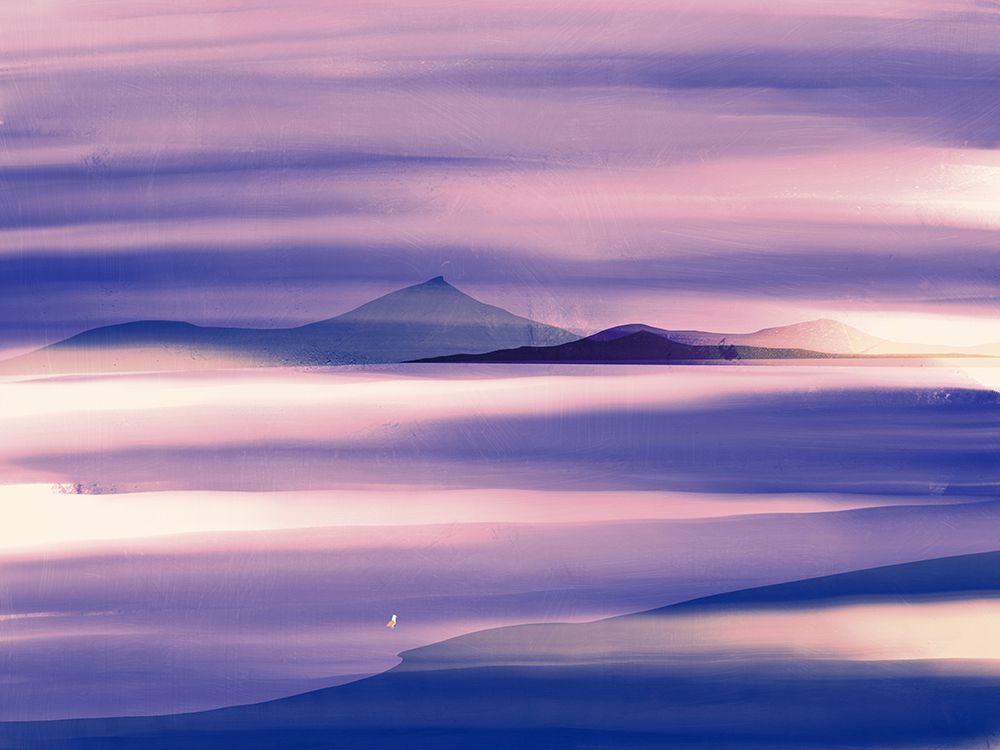 Lone seagull in purple nature art print by Little Dean for $57.95 CAD