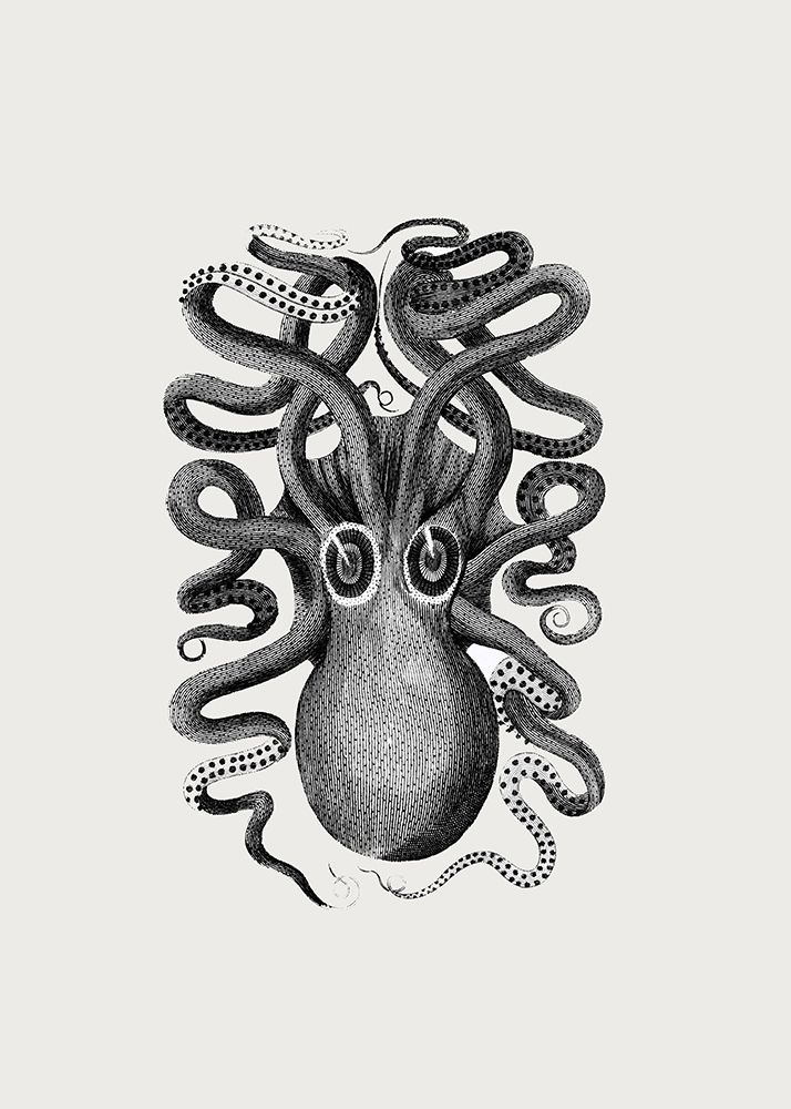 Eight Armed Cuttlefish art print by George Shaw for $57.95 CAD