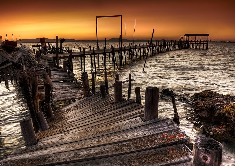Carrasqueira art print by Paulo Gomes for $57.95 CAD