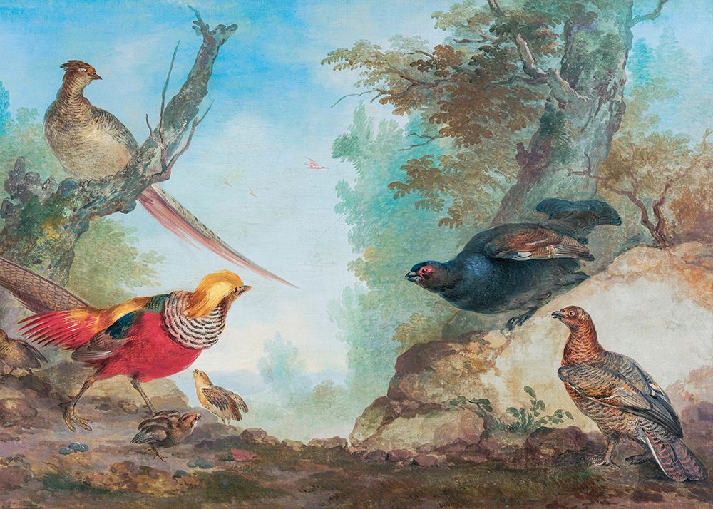 Pheasants art print by Aert Schouman for $57.95 CAD