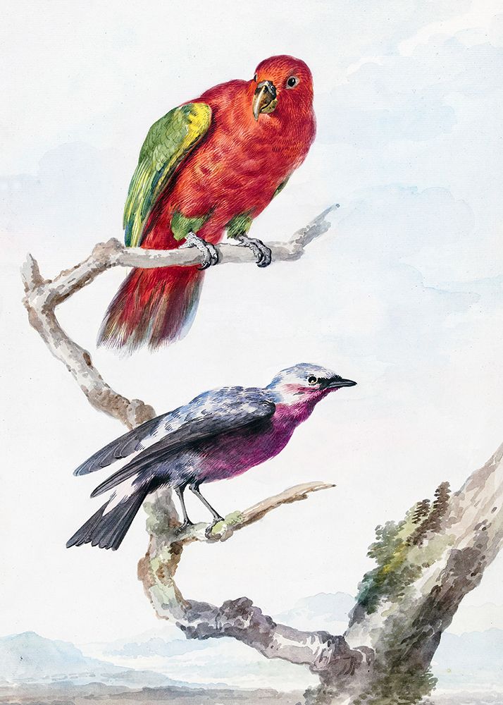 Two Birds art print by Aert Schouman for $57.95 CAD