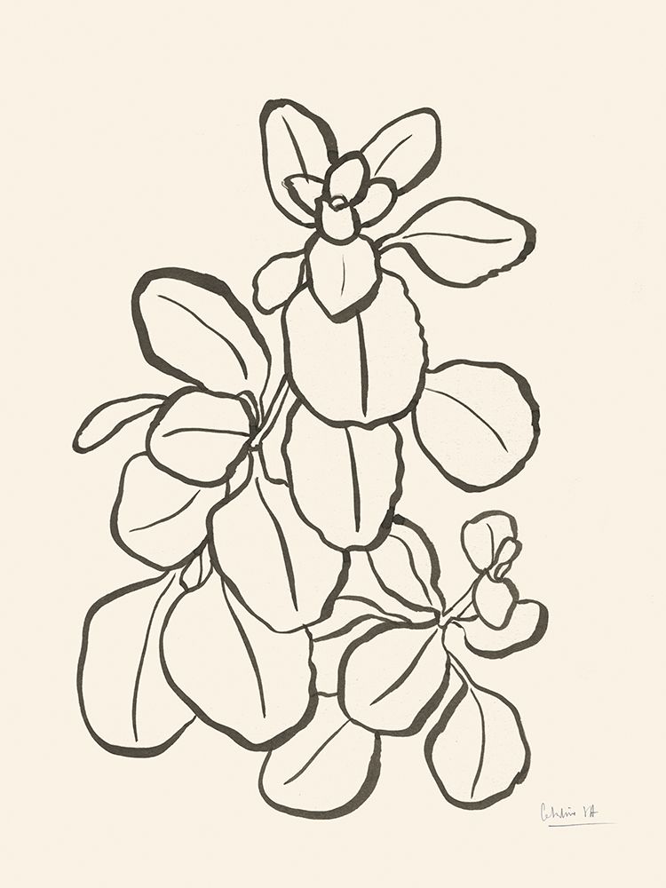 Kalanchoe Plant art print by Catalina Somolinos for $57.95 CAD