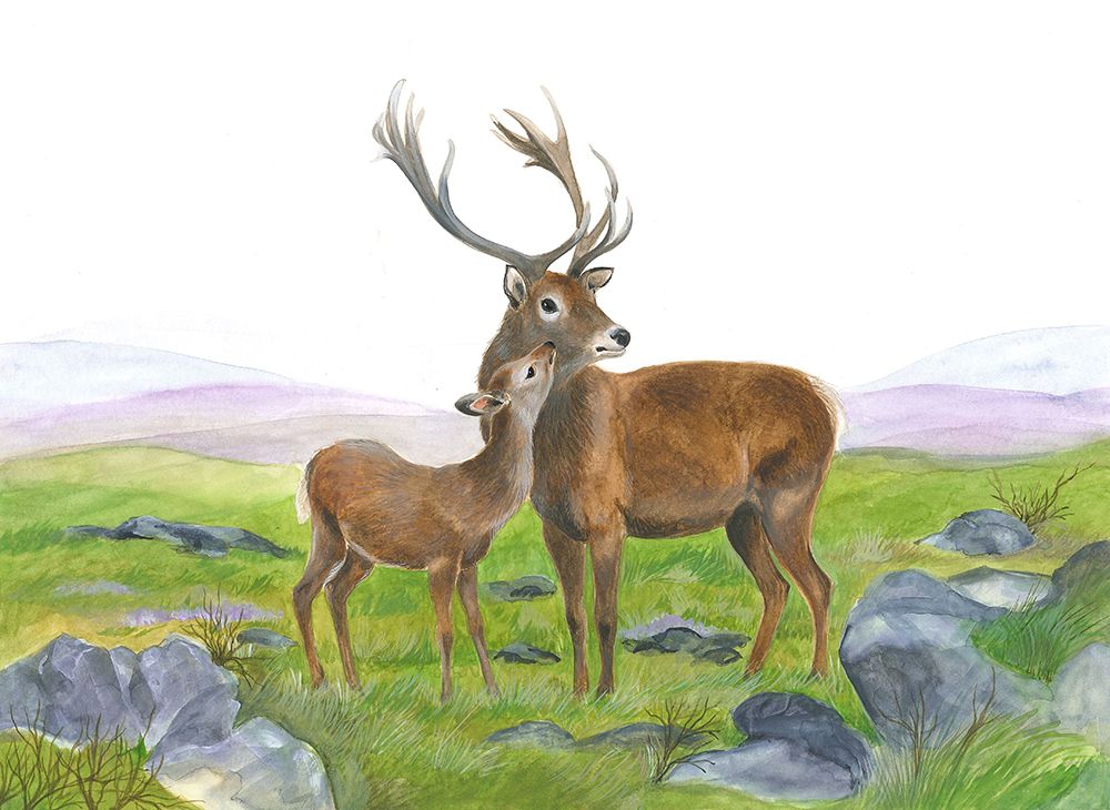 Stag and Young Hind art print by Isabelle Brent for $57.95 CAD