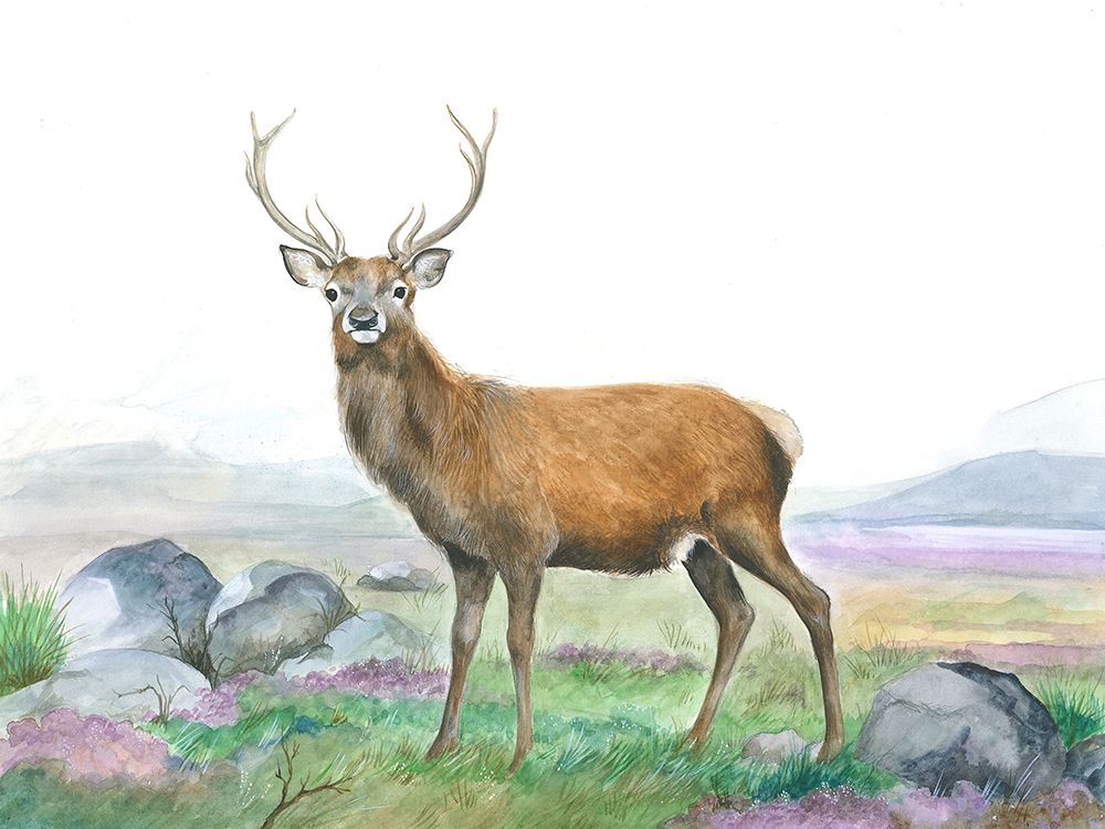 Moreland Stag art print by Isabelle Brent for $57.95 CAD