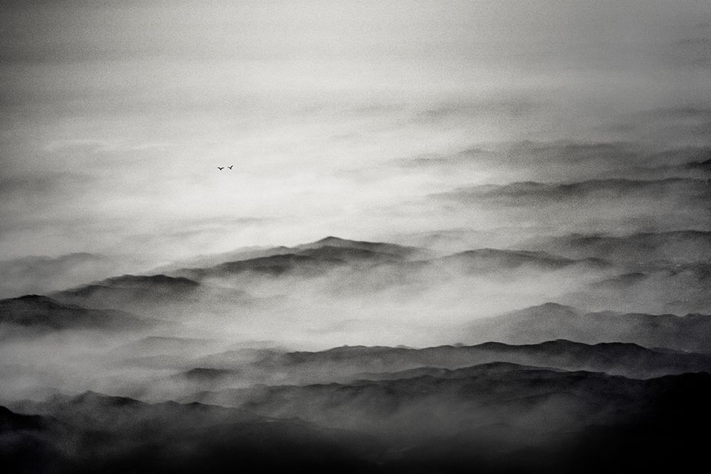 Misty Mountain Birds art print by Don Guerin for $57.95 CAD