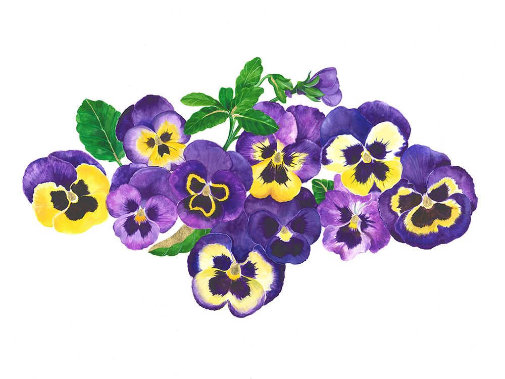 Pansies art print by Isabelle Brent for $57.95 CAD