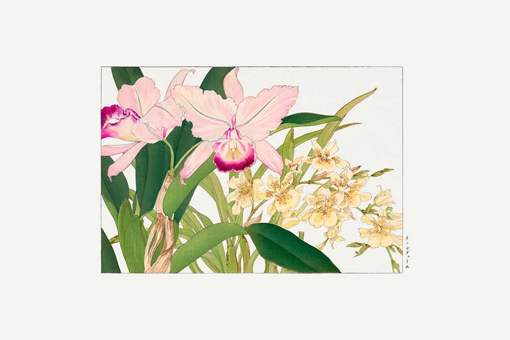 Oncidium Woodblock Painting art print by Tanigami Konan for $57.95 CAD