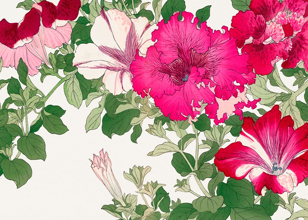 Vintage Petunia Flower No.2 art print by Tanigami Konan for $57.95 CAD