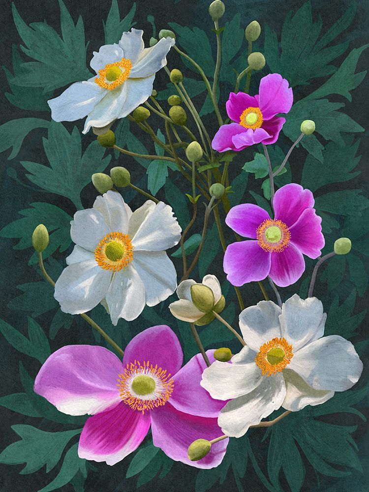 Anemone Flowers art print by Katie O'Shea for $57.95 CAD