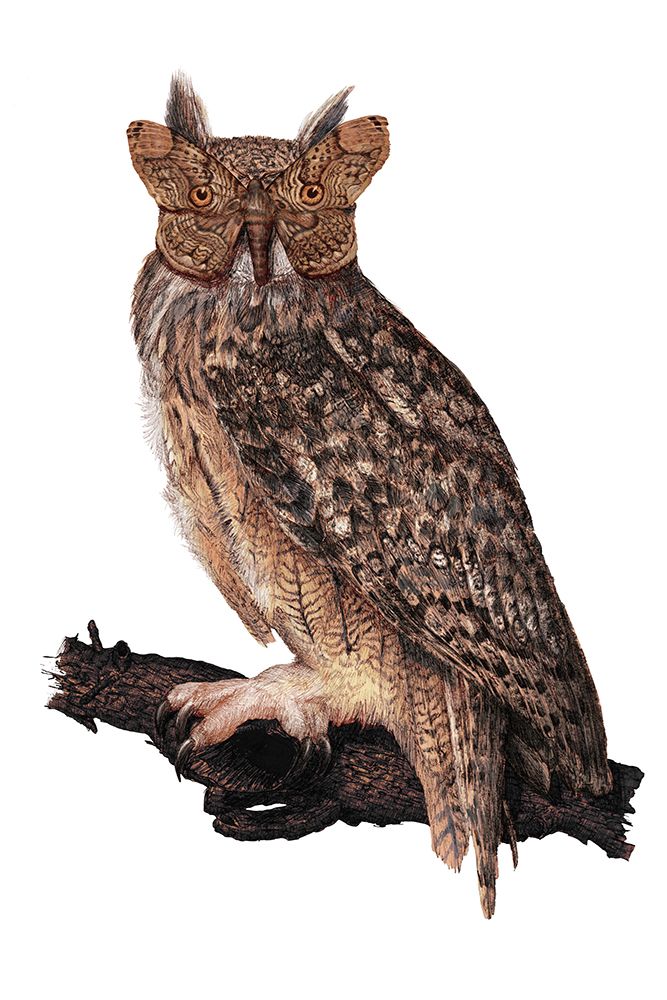 Camouflage Colour Large art print by E.C. Mazur for $57.95 CAD