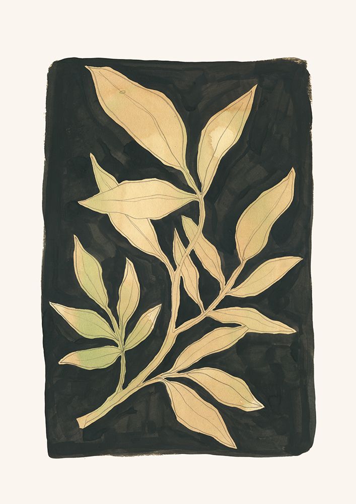 Foliage noir N.1 art print by Catalina Somolinos for $57.95 CAD