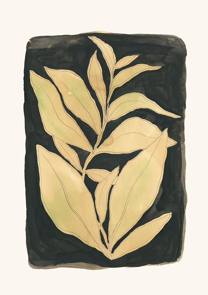 Foliage noir N.2 art print by Catalina Somolinos for $57.95 CAD
