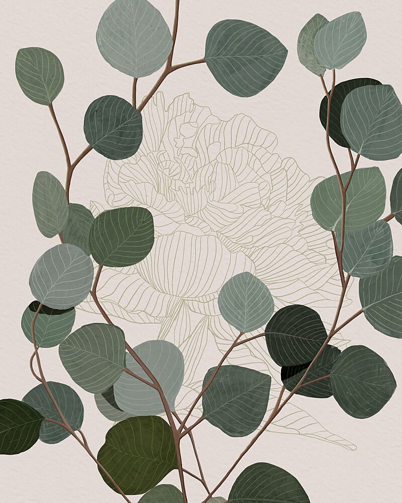 Round Eucalyptus art print by Katie O'Shea for $57.95 CAD