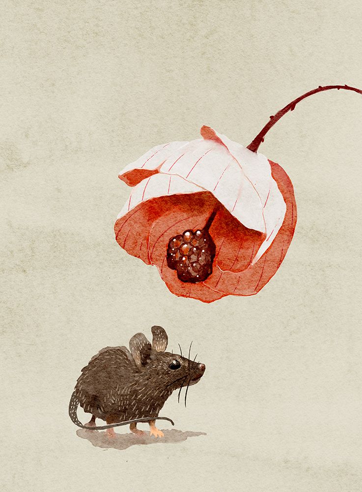 Mouse and Flower art print by Katie O'Shea for $57.95 CAD