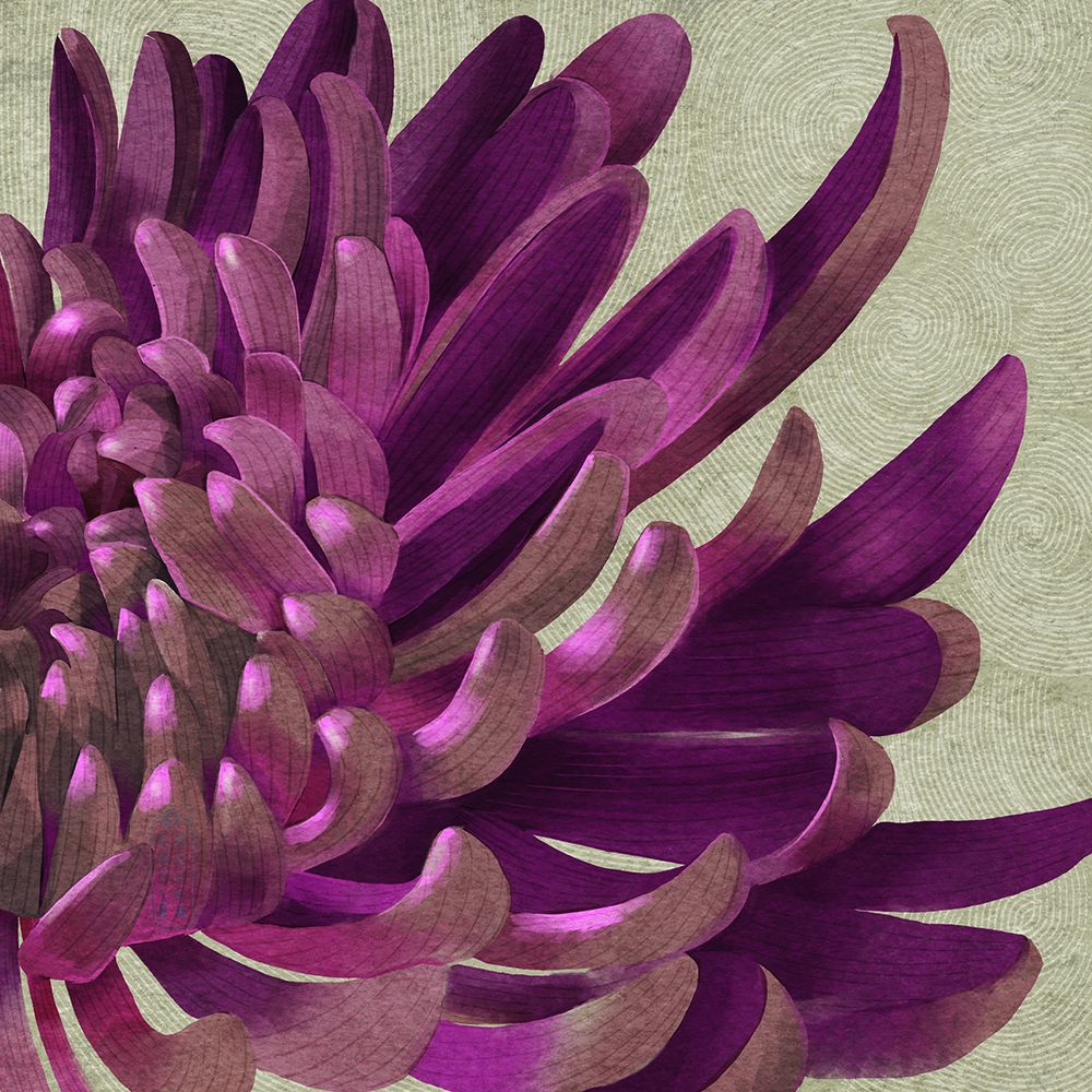 Chrysanthemum Purple art print by Katie O'Shea for $57.95 CAD