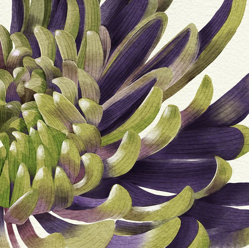Chrys.png art print by Katie O'Shea for $57.95 CAD