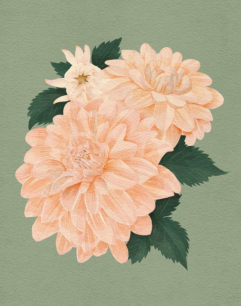 Pink Dahlias art print by Katie O'Shea for $57.95 CAD