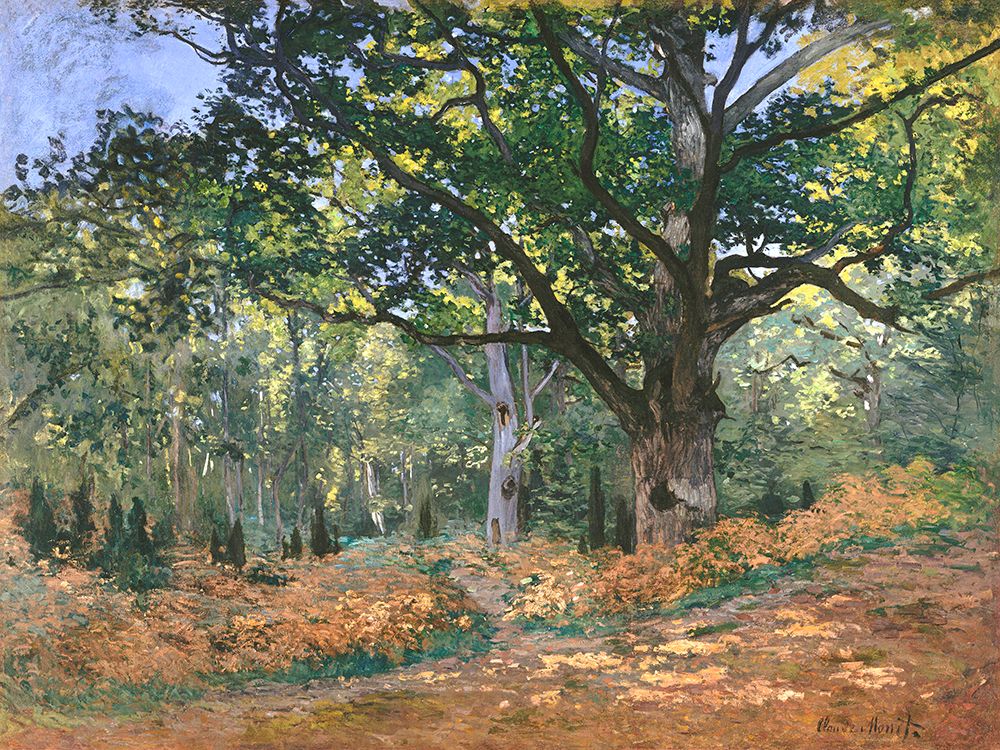 The Bodmer Oak art print by Claude Monet for $57.95 CAD