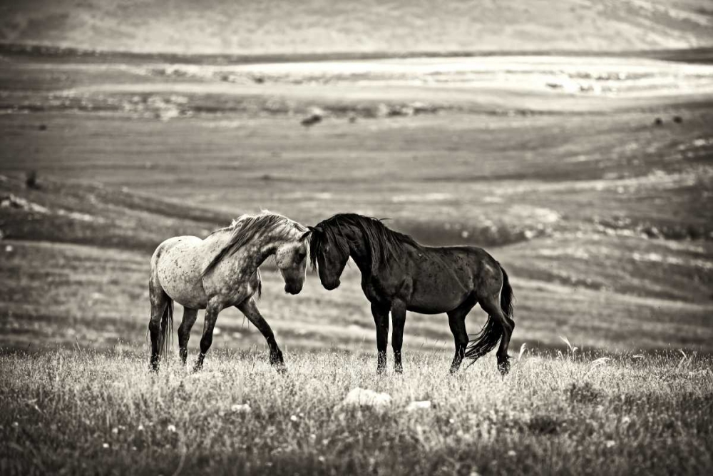Close Encounter art print by Vedran Vidak for $57.95 CAD