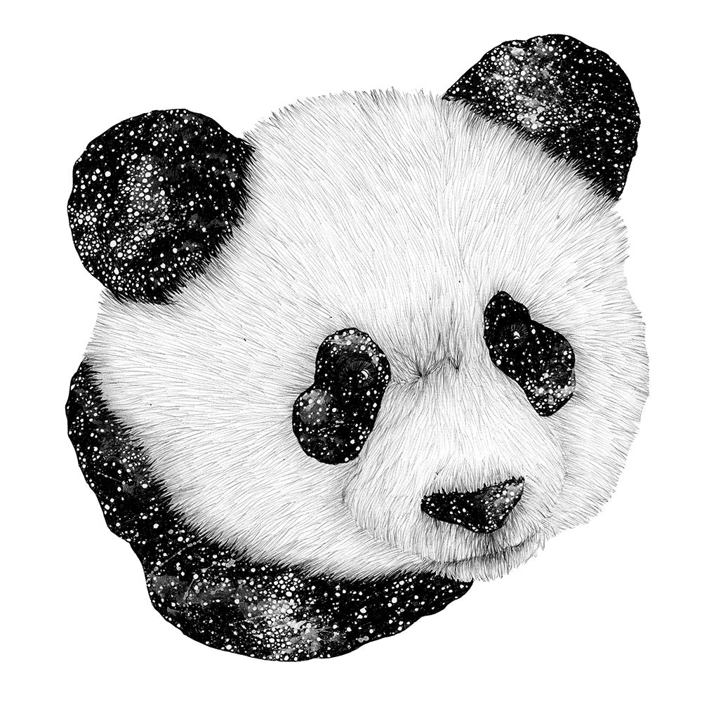 Cosmic Panda Square art print by EC Mazur for $57.95 CAD