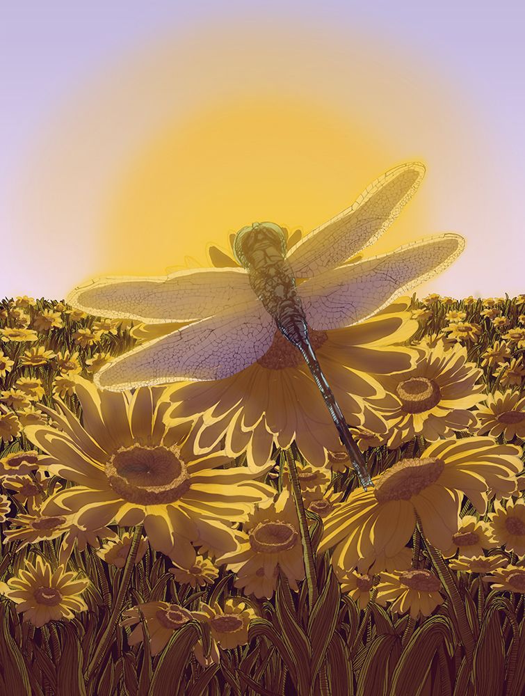 Dragonfly At Sunrise Large art print by EC Mazur for $57.95 CAD