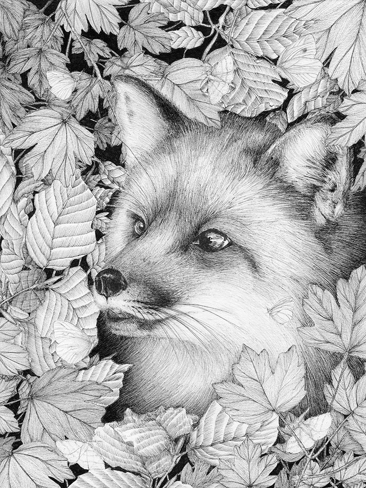 Fox and Forest Large art print by EC Mazur for $57.95 CAD