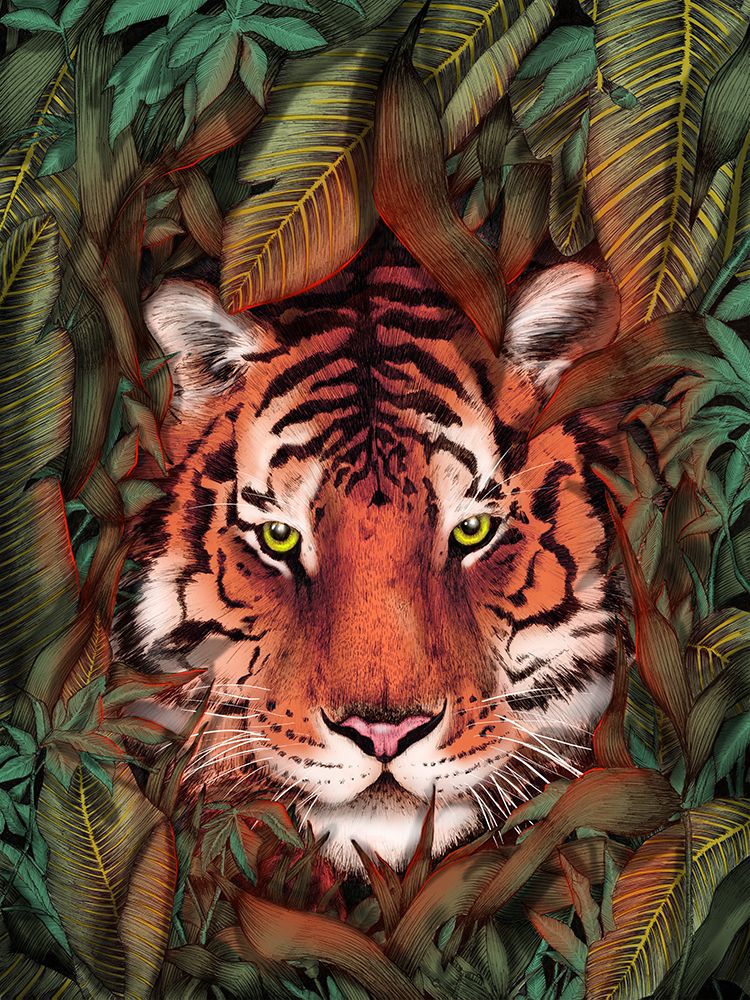 Jungle Tiger Majesty Colour Original art print by EC Mazur for $57.95 CAD
