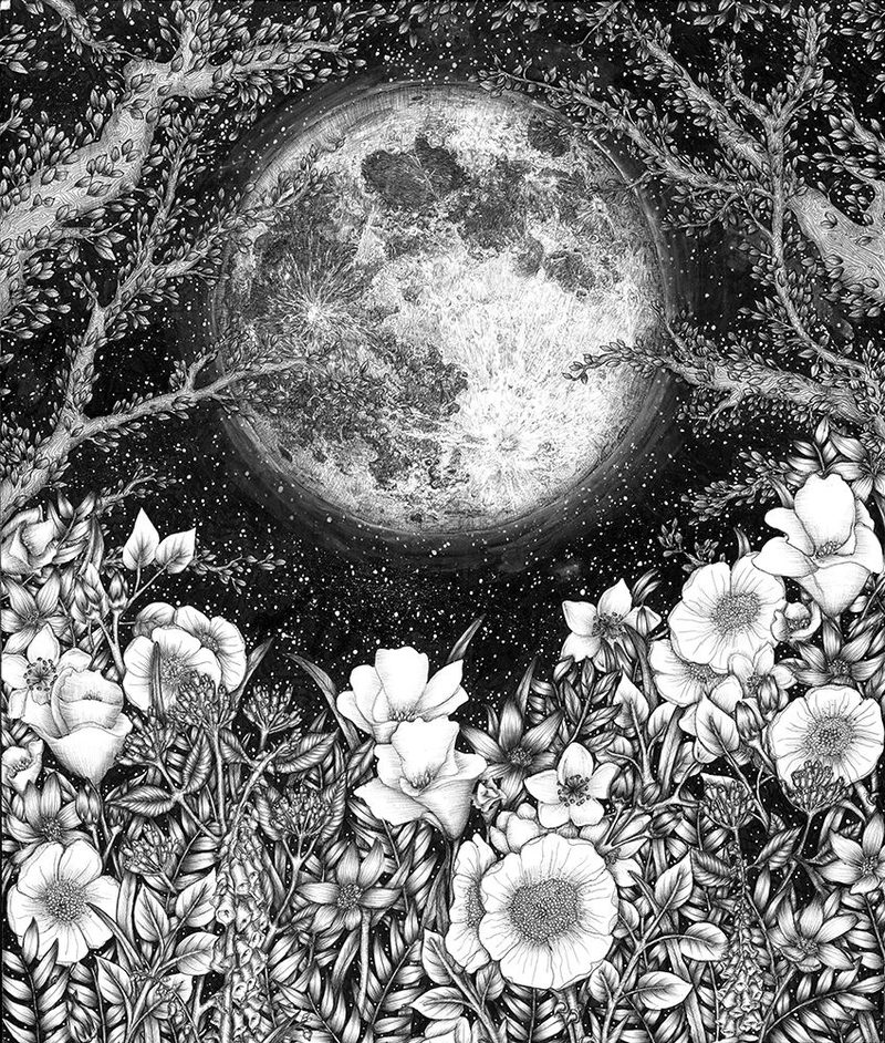Midnight In the Garden art print by E.C. Mazur for $57.95 CAD