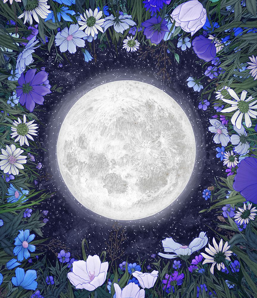 Midnight In the Meadow Blue Original art print by EC Mazur for $57.95 CAD