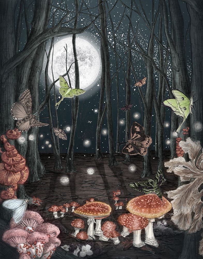 Midnight Magic Colour Large art print by E.C. Mazur for $57.95 CAD