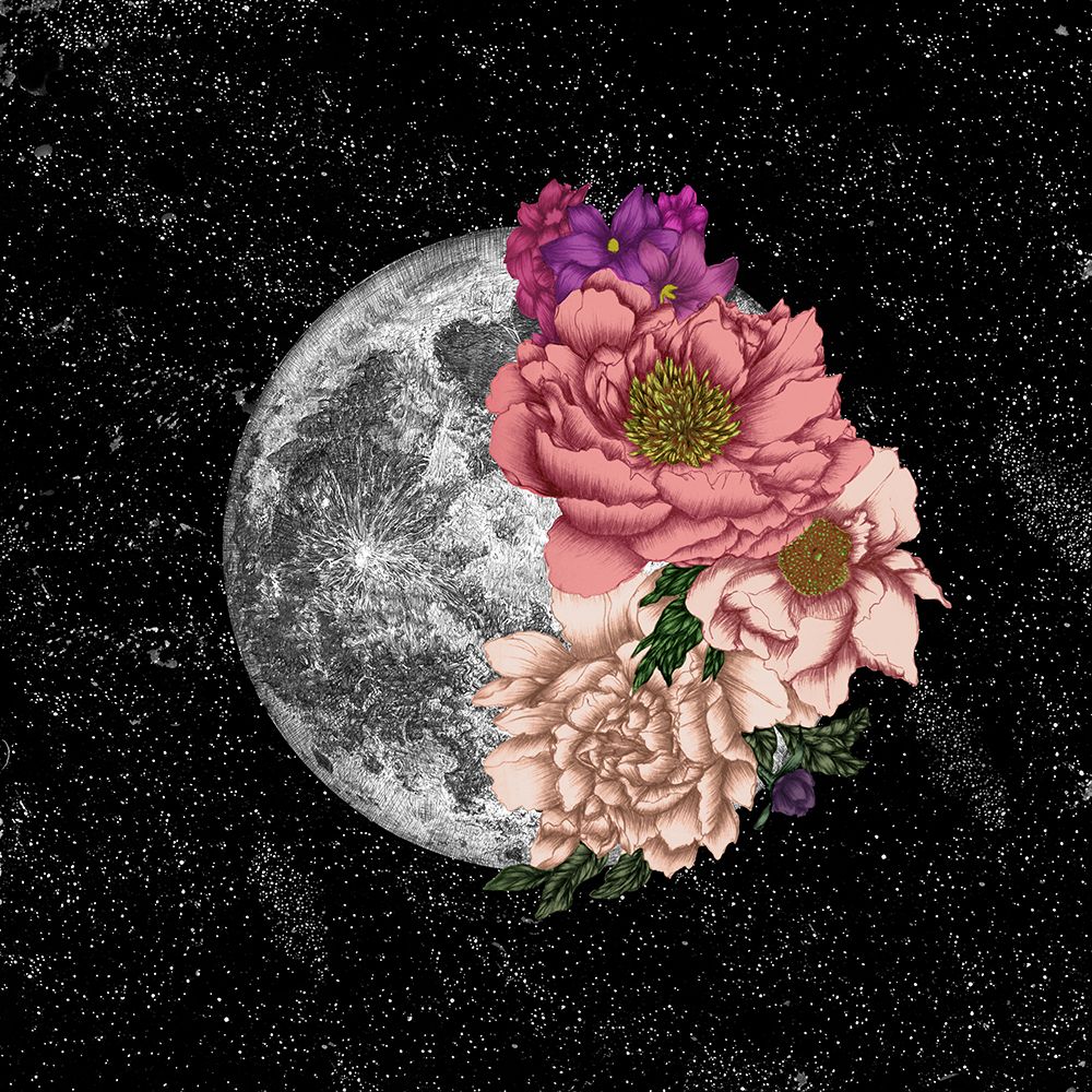 Moon Abloom New Square art print by E.C. Mazur for $57.95 CAD