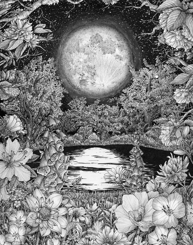 Moon Garden Reflections Large art print by E.C. Mazur for $57.95 CAD