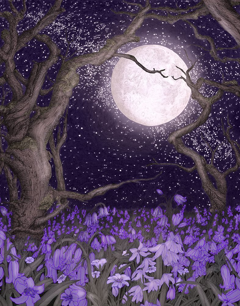 Moonlight and Purple Forest Gardens Large art print by E.C. Mazur for $57.95 CAD