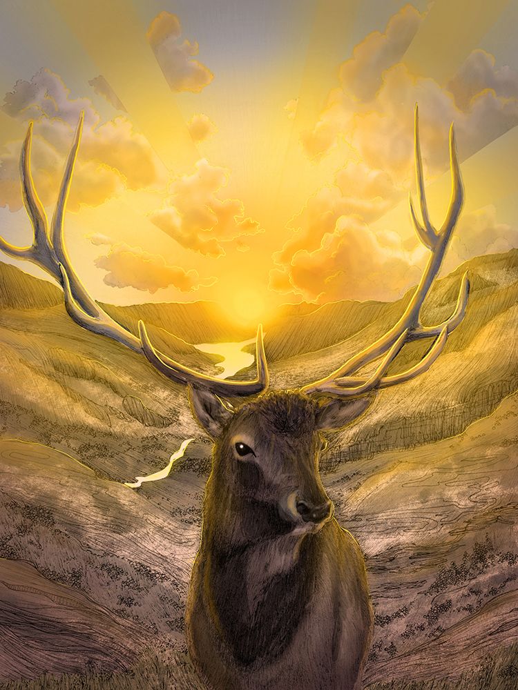 Rise With the Sun Colour Large art print by E.C. Mazur for $57.95 CAD