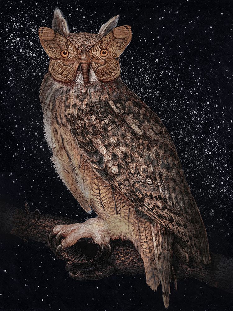 Camouflage and Stars Colour art print by E.C. Mazur for $57.95 CAD