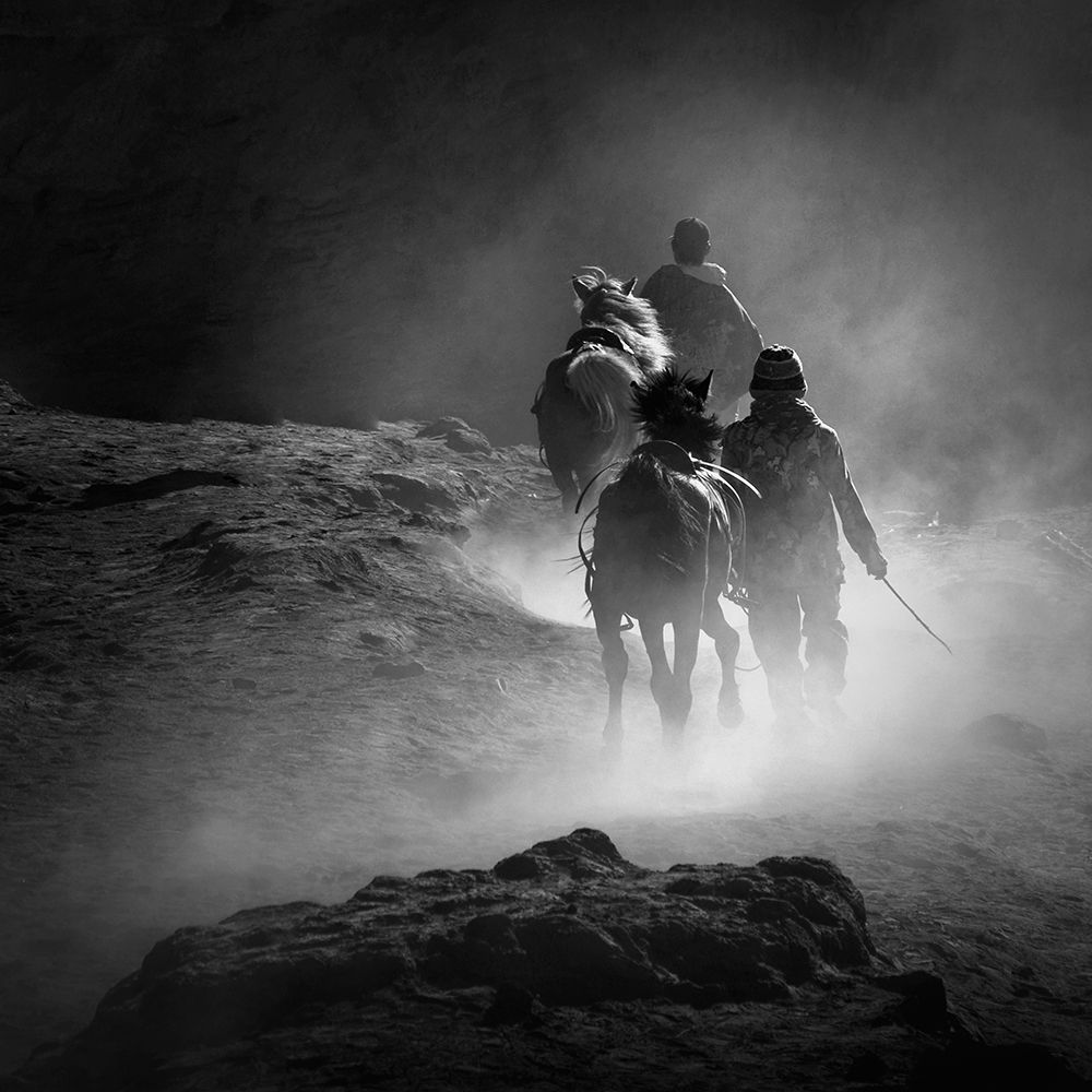 Guide Horse art print by saelanwangsa for $57.95 CAD