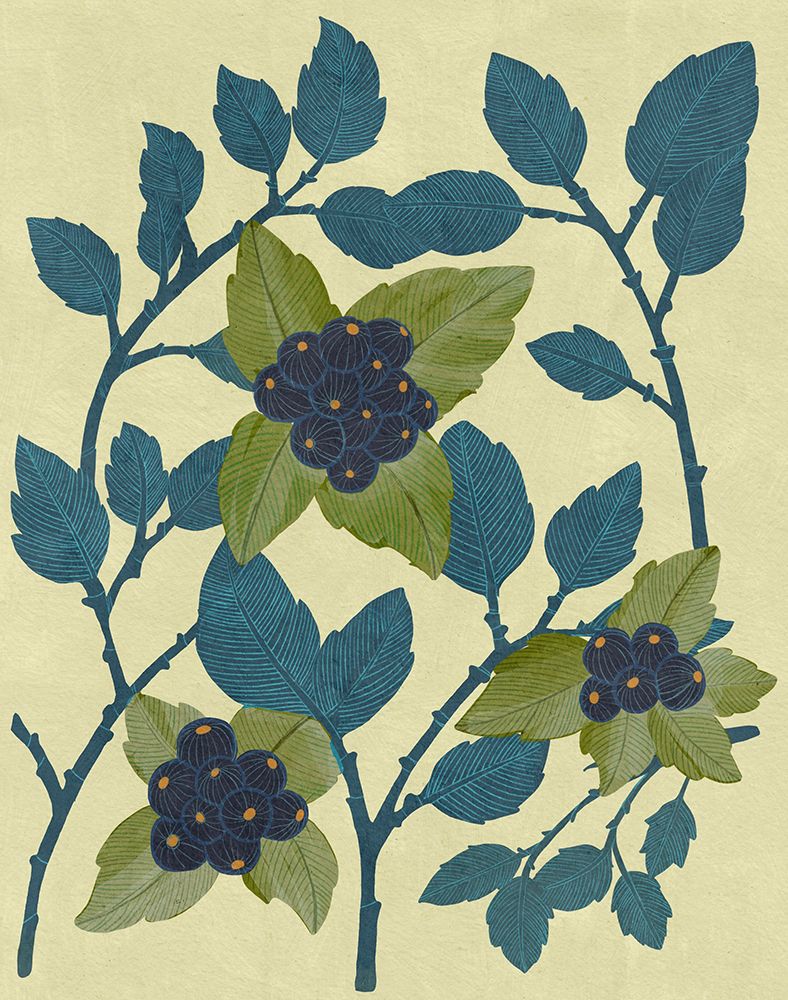 Huckleberries art print by Katie O'Shea for $57.95 CAD