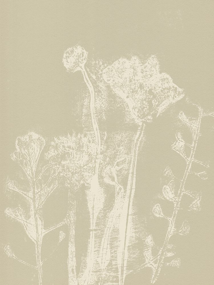 Abstract Florals. White meadow plants and flowers on neutral beige. art print by Dina Dankers for $57.95 CAD