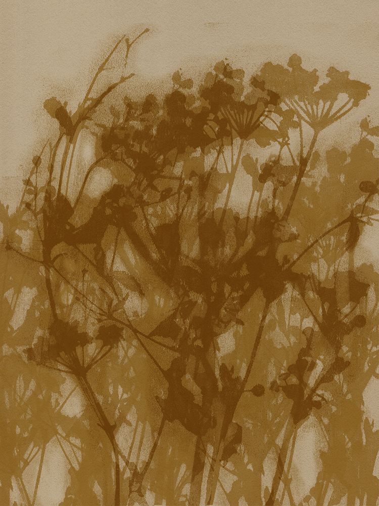 Abstract Florals. Wild flowers in ochre art print by Dina Dankers for $57.95 CAD