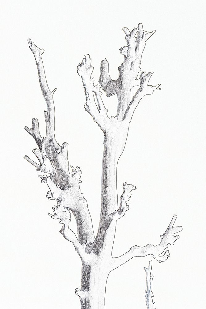 TREE 26 art print by Santhosh ch for $57.95 CAD