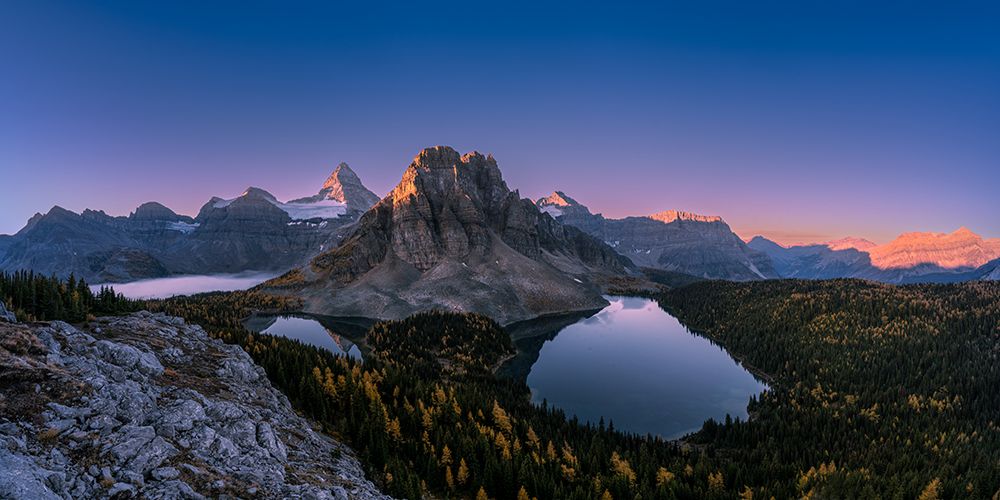 Mt.Assiniboine art print by Michelle Cheung for $57.95 CAD