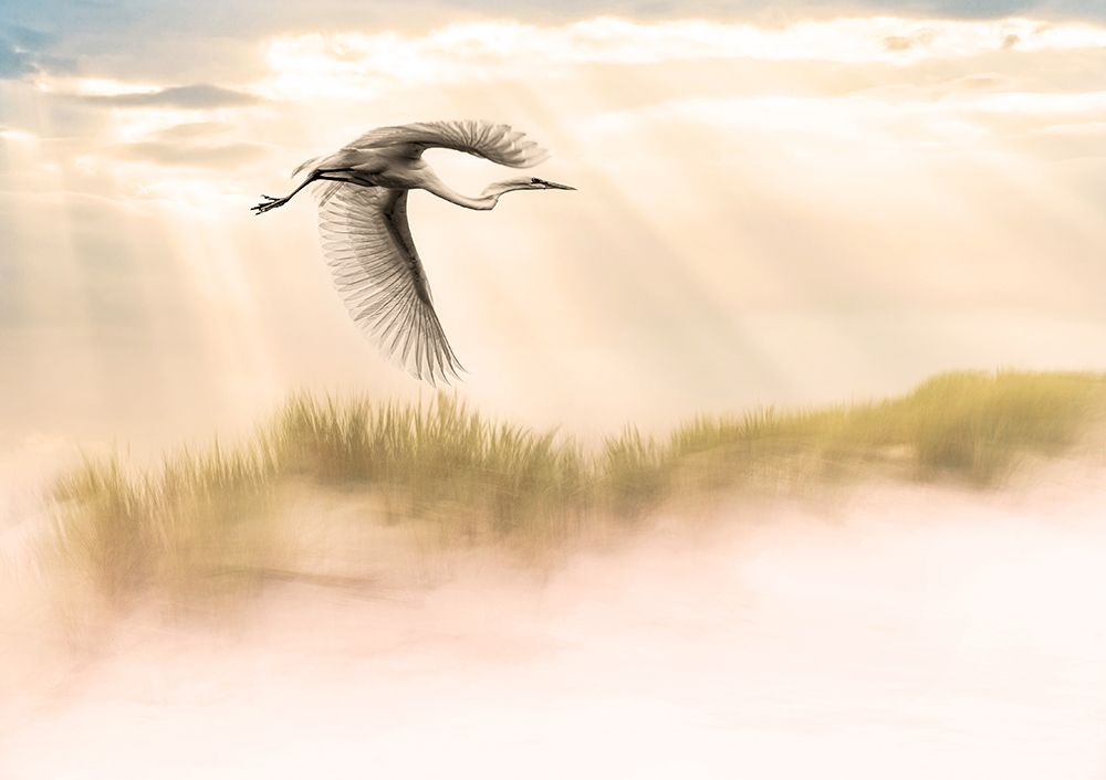 Light From The Sky art print by Eyal Bar Or for $57.95 CAD