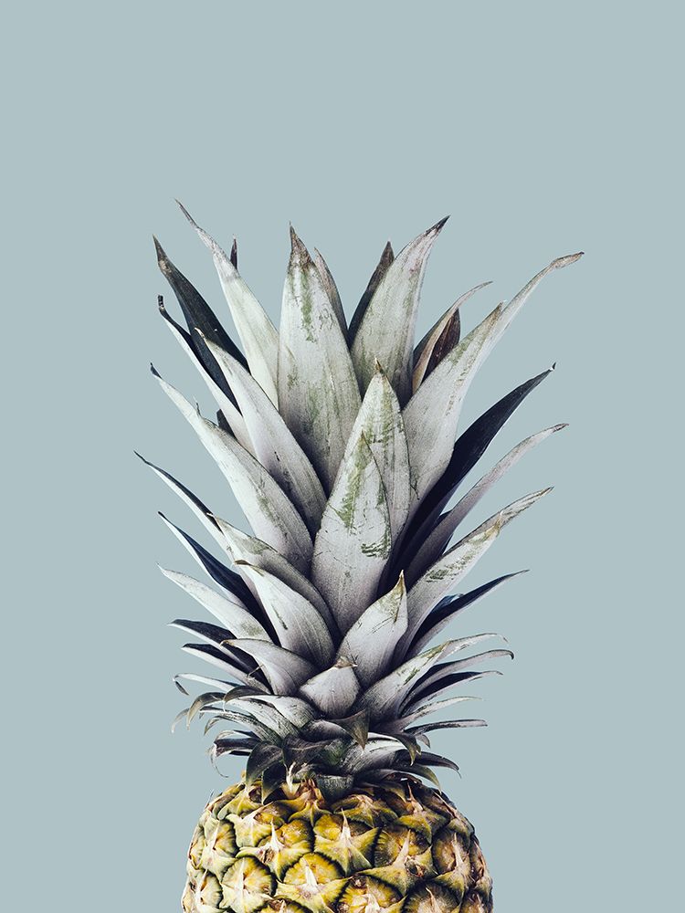 Pineapple 1 art print by Vitor Costa for $57.95 CAD