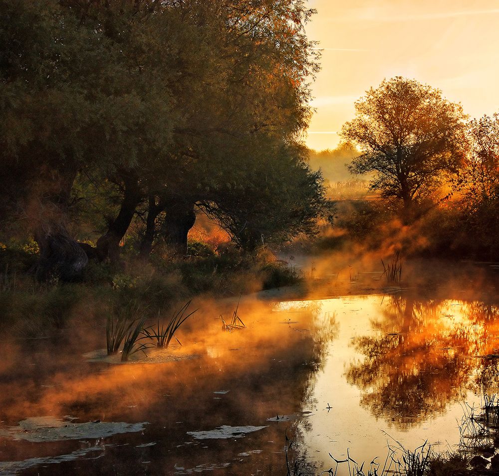 When Nature Paints With Light I art print by Leicher Oliver for $57.95 CAD