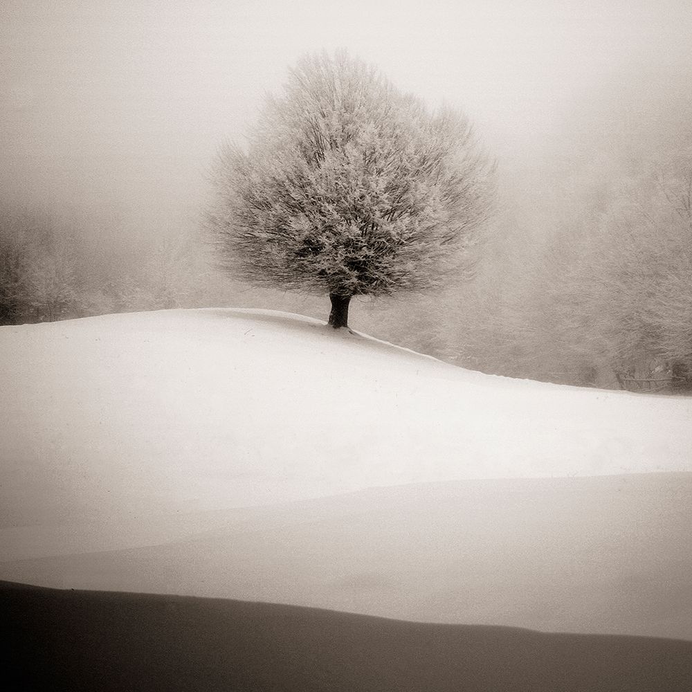 Winter Degradee art print by S.C. for $57.95 CAD