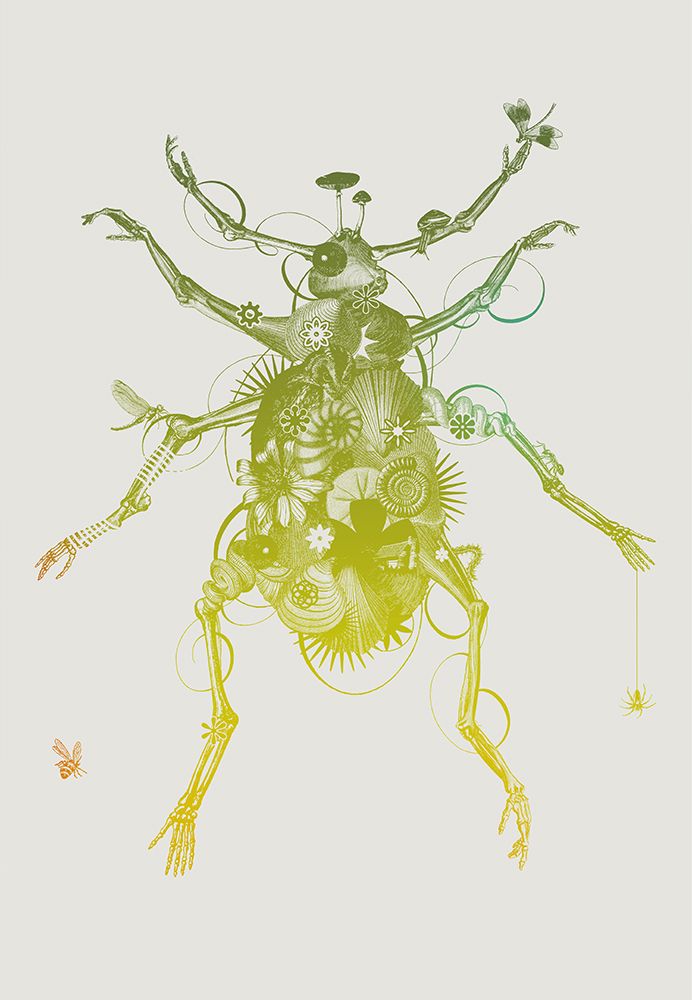 Beetle 1 art print by Jaco Putker for $57.95 CAD