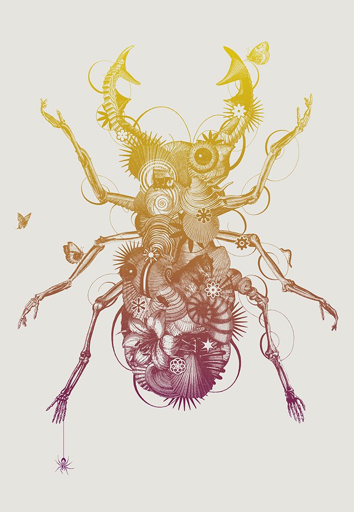 Stagbeetle art print by Jaco Putker for $57.95 CAD