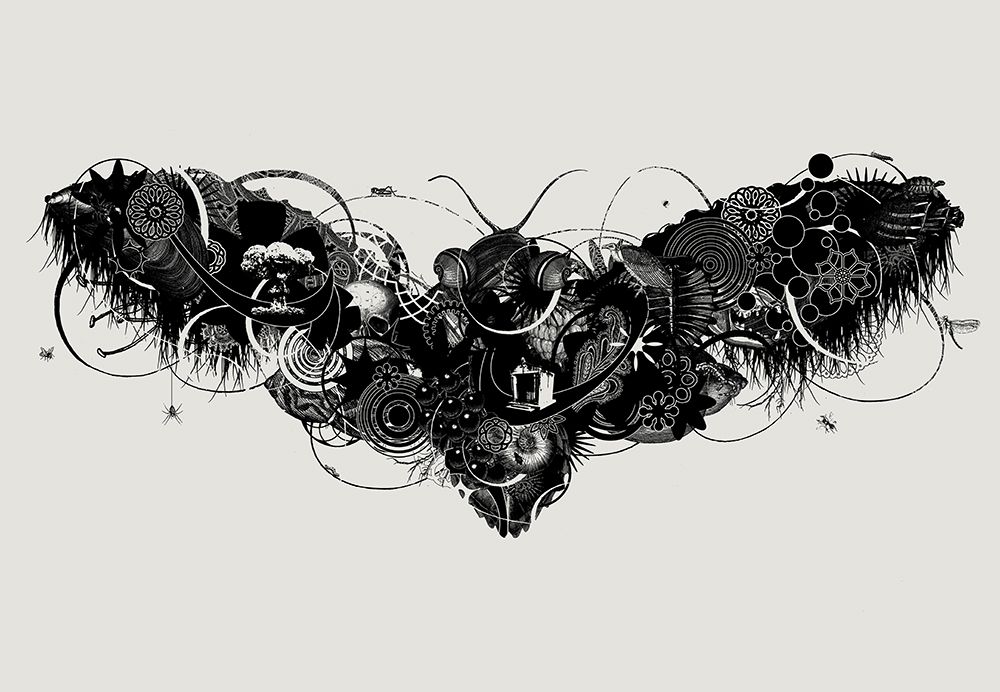 Moth 1 art print by Jaco Putker for $57.95 CAD