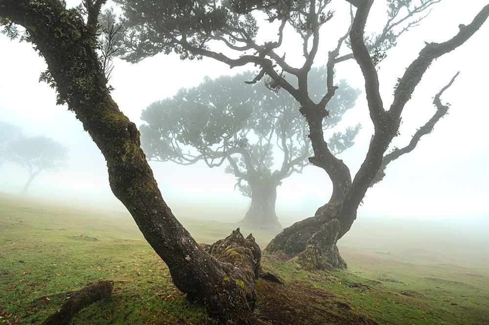 Victory lap art print by Abhishek Dey for $57.95 CAD